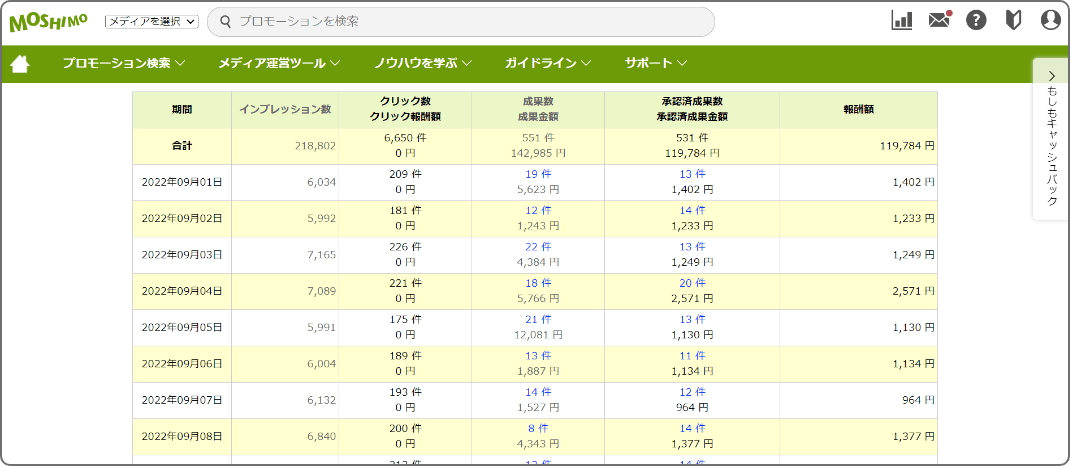 日別レポート画像